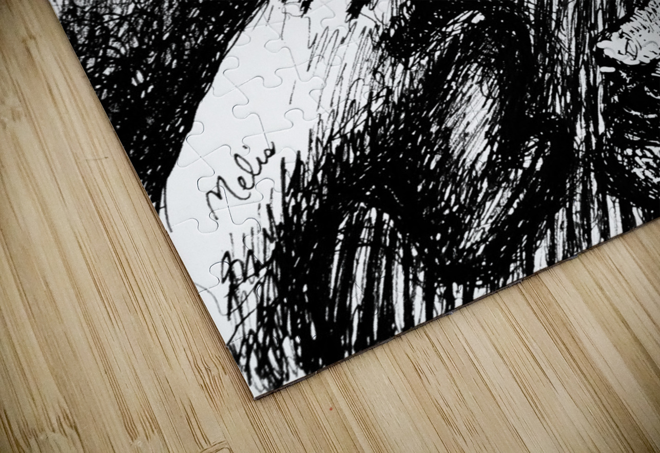 PSX 20241220 015000 5 Marc Melis Puzzle