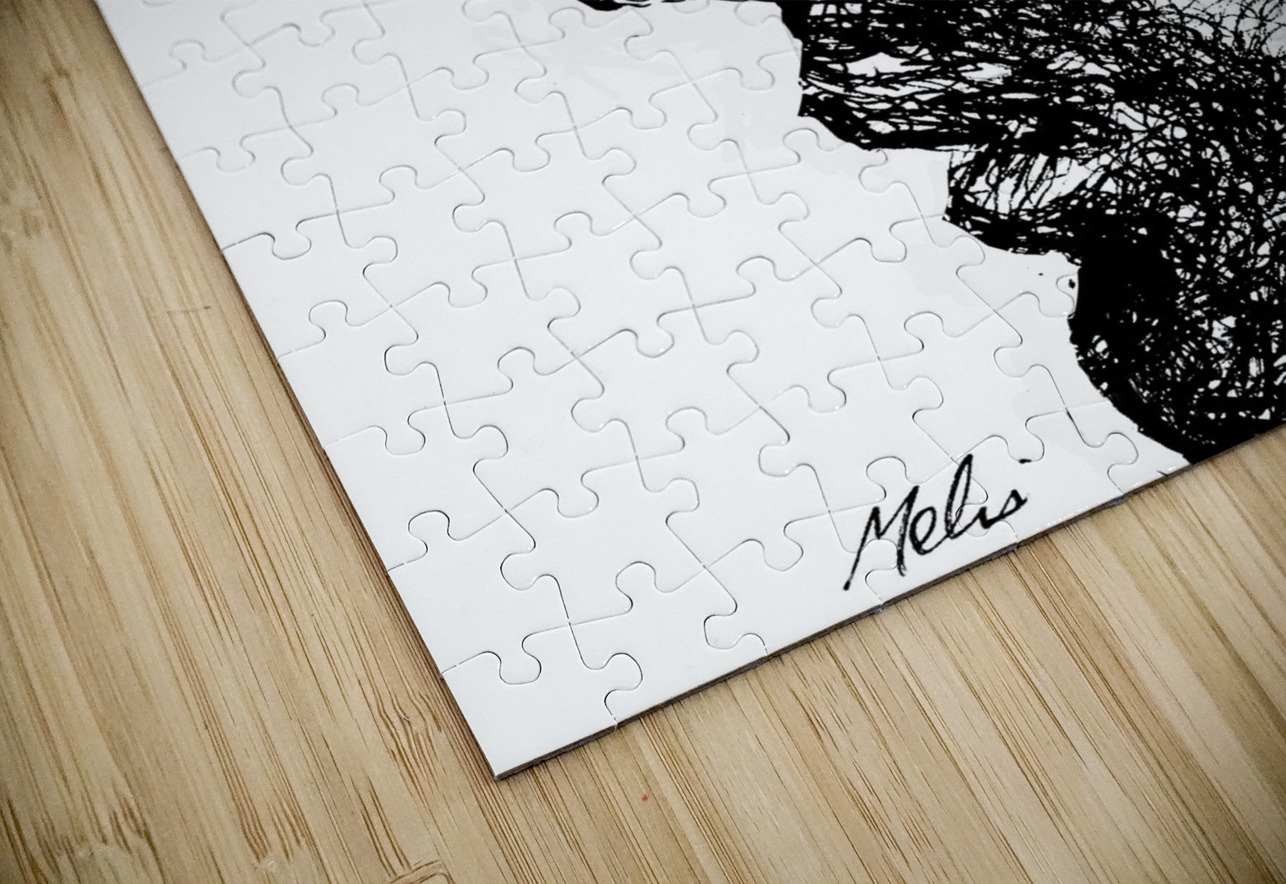 PSX 20250115 003714 7 Marc Melis Puzzle