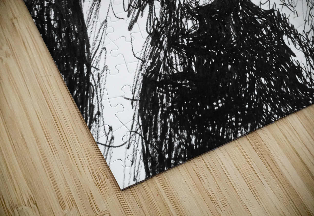 PSX 20241224 180707 Marc Melis Puzzle