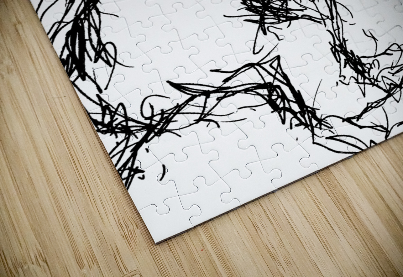 PSX 20241220 033148 Marc Melis Puzzle