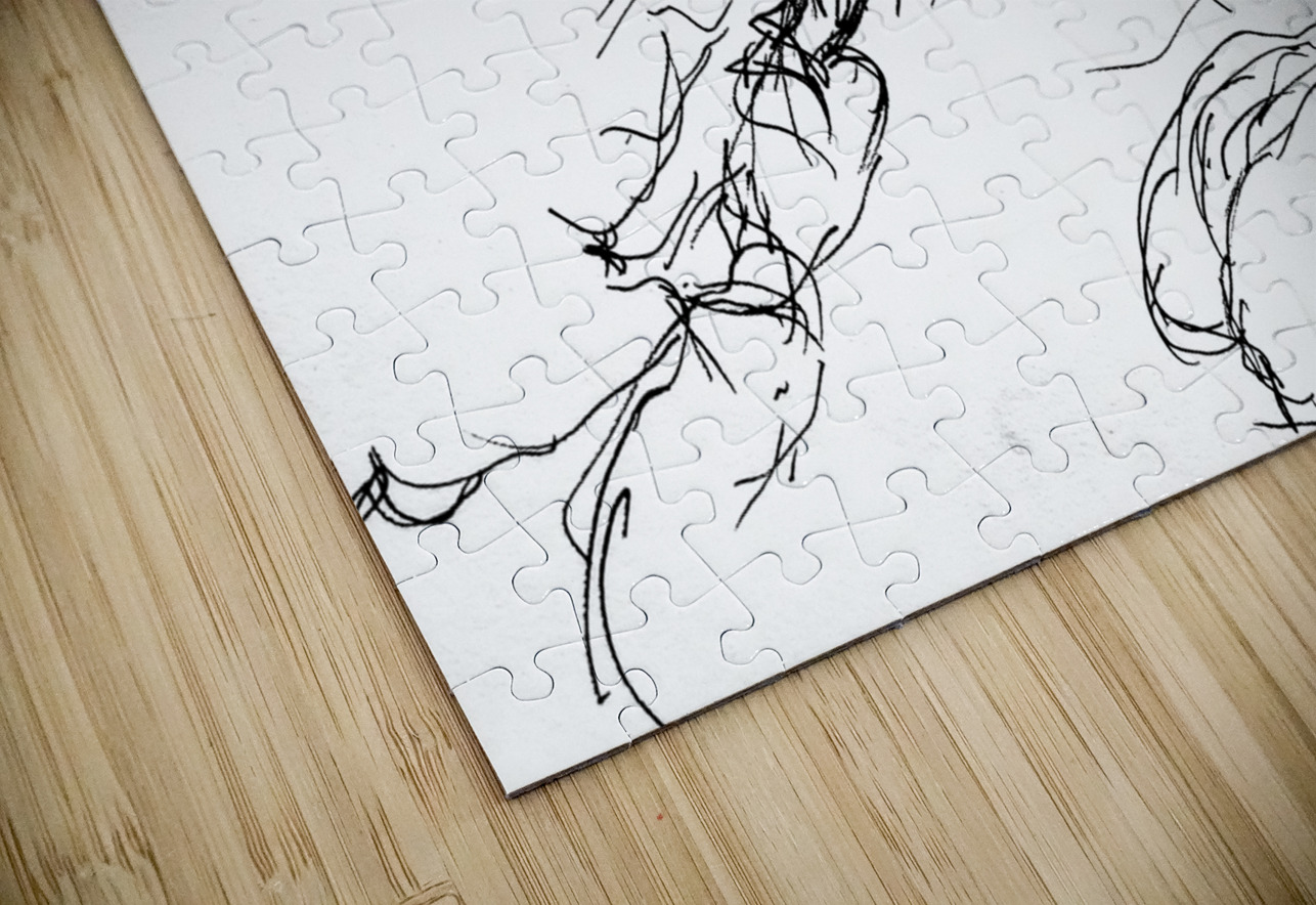 PSX 20241225 064411 Marc Melis Puzzle