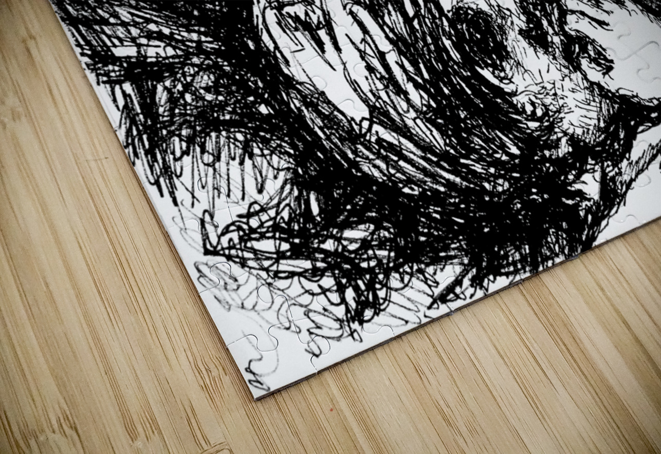 PSX 20250110 054211 Marc Melis Puzzle