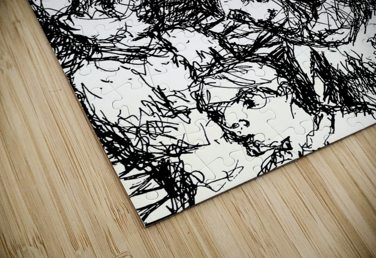 20250212 231849 2 Marc Melis Puzzle