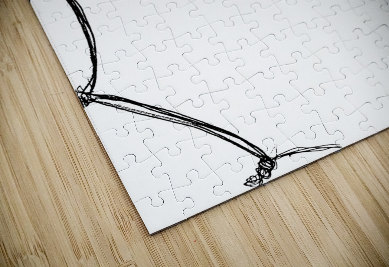 20240625 210059 2 Marc Melis Puzzle