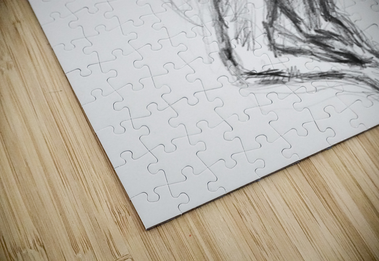 PSX 20241116 231342 Marc Melis Puzzle