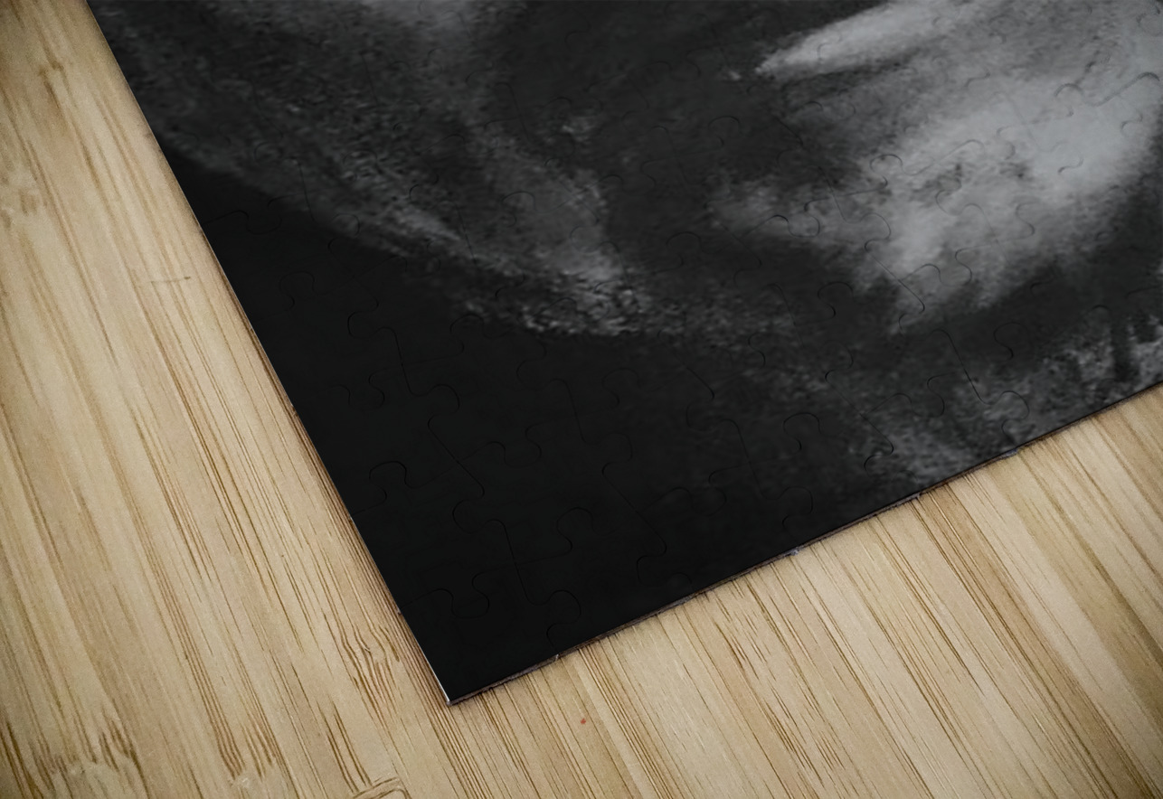 20230608 083017 2 Marc Melis Puzzle