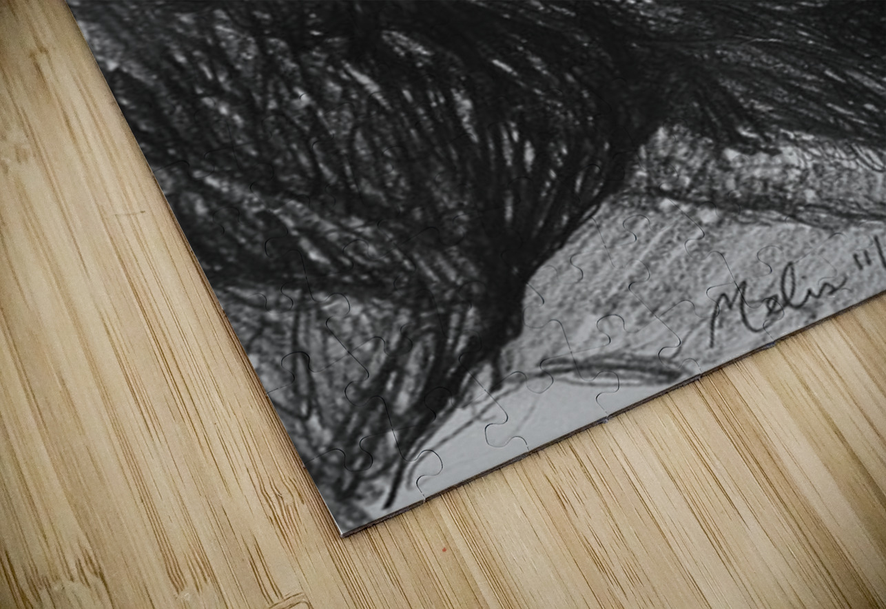 20221125 183529 4 Marc Melis Puzzle