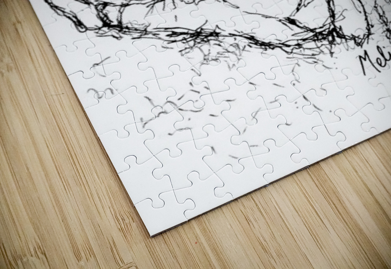 20240106 212254 Marc Melis Puzzle