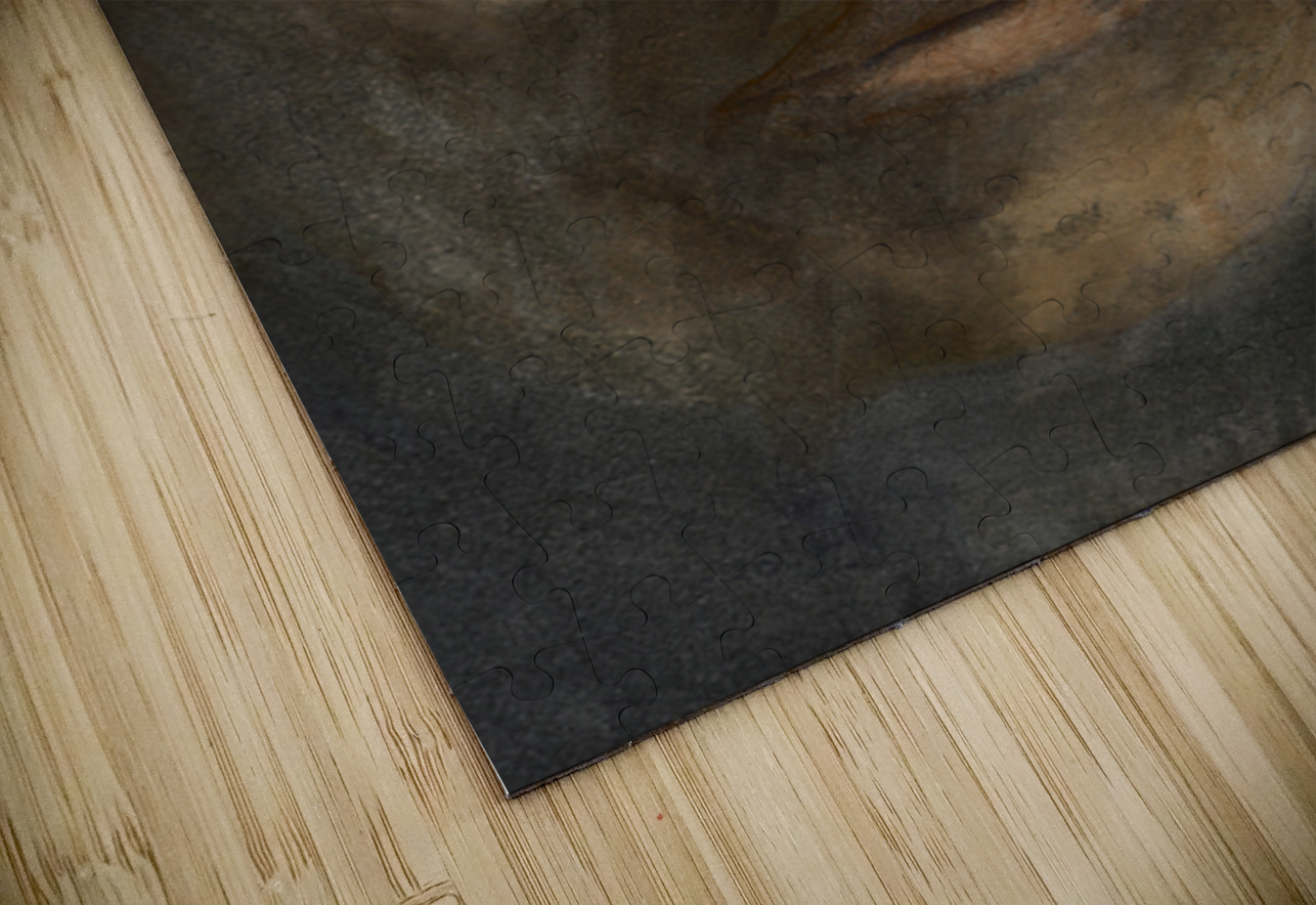 Veronica s Smile 16x12 Marc  Melis   20250617   A Marc Melis Puzzle