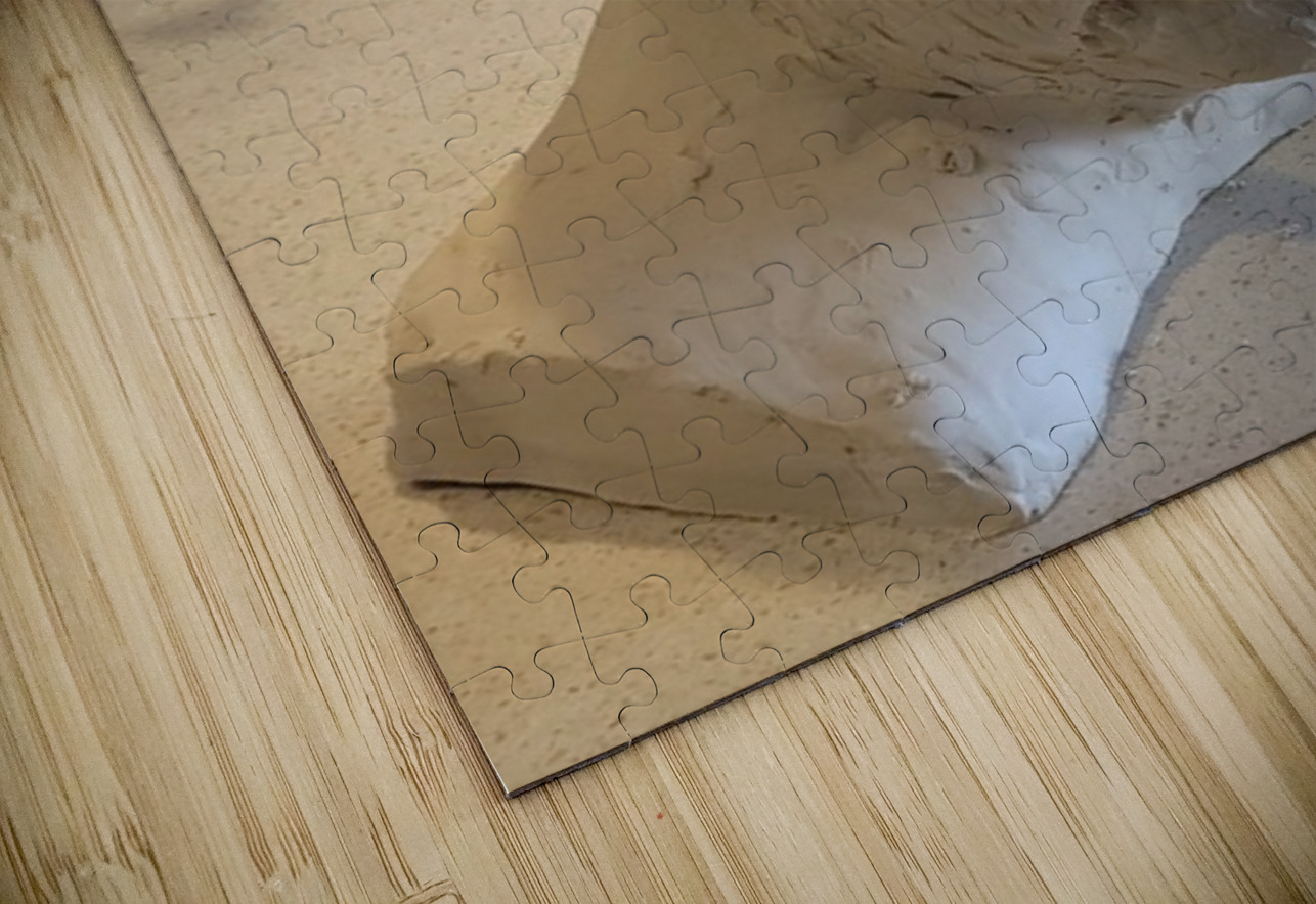 20230817 165055 Marc Melis Puzzle