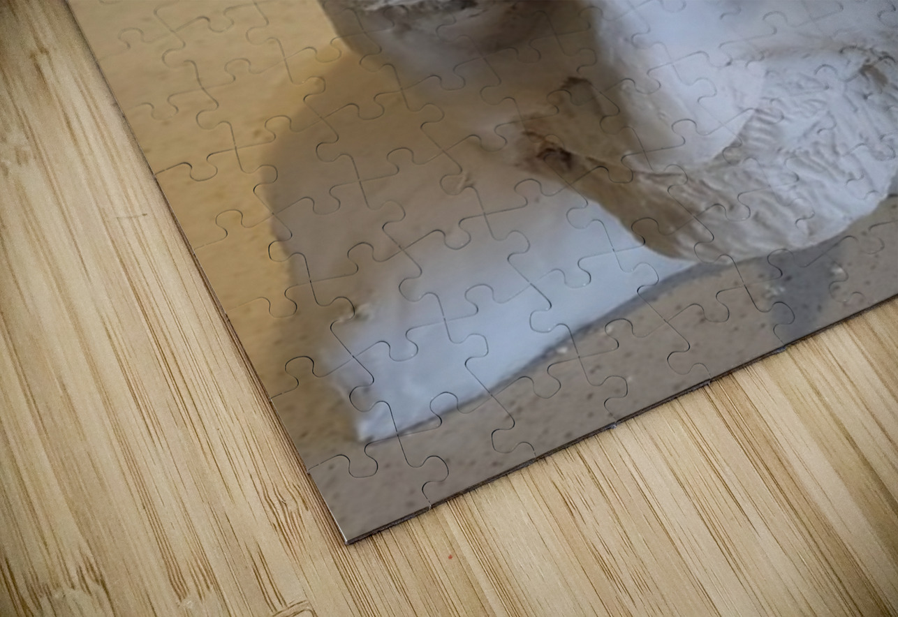 20230817 165107 Marc Melis Puzzle