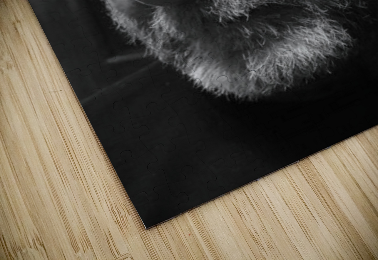 20230720 191455 Marc Melis Puzzle