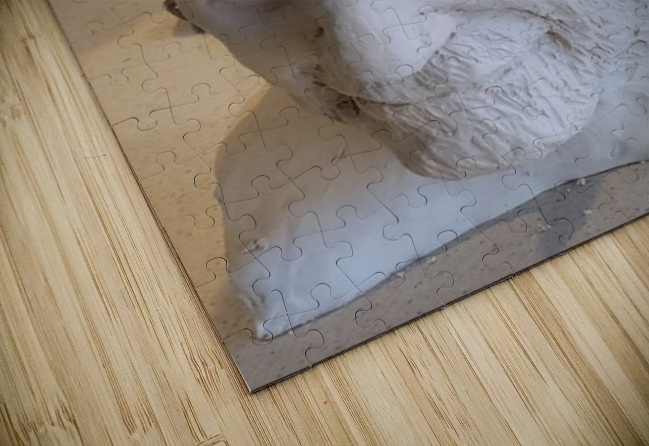 20230817 165011 Marc Melis Puzzle