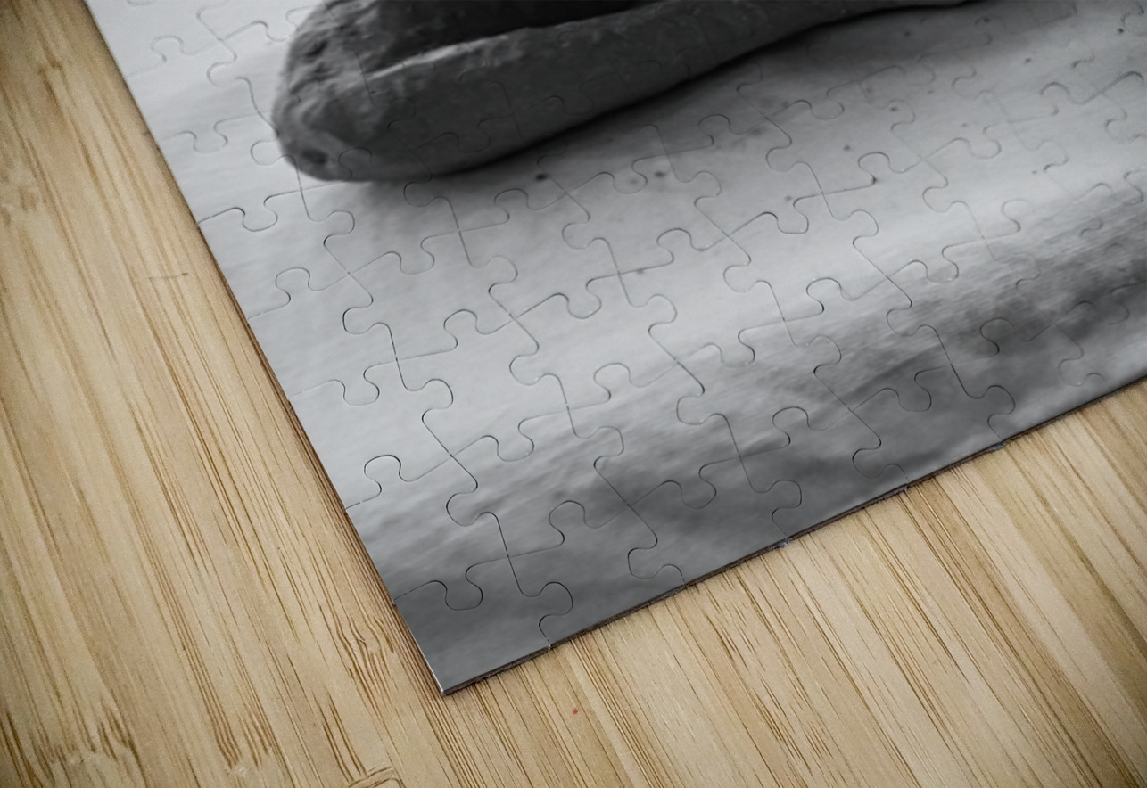 PSX 20241207 113142 Marc Melis Puzzle