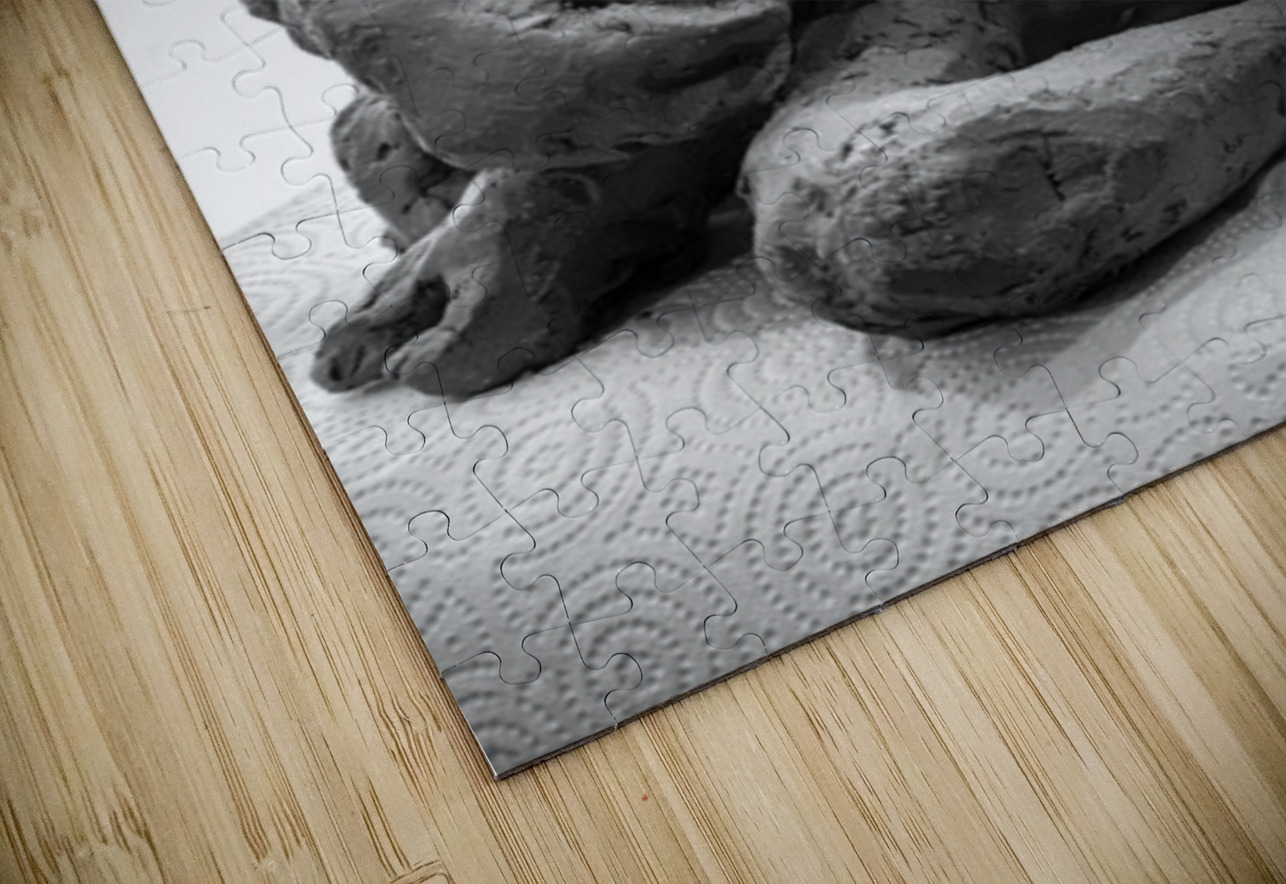 PSX 20241212 180155 Marc Melis Puzzle