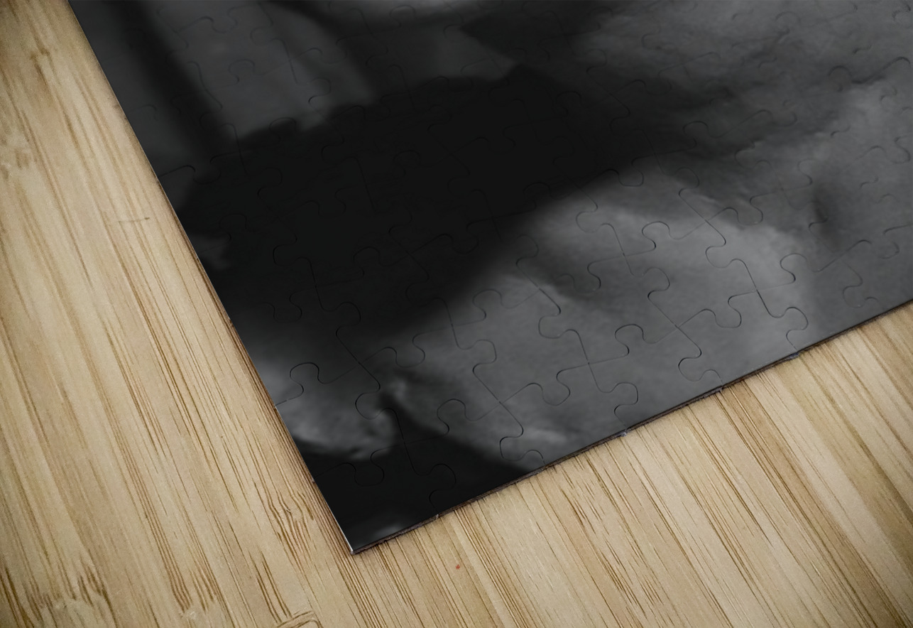 Screenshot 20220512 093315 Gallery 2 EDIT Marc Melis Puzzle