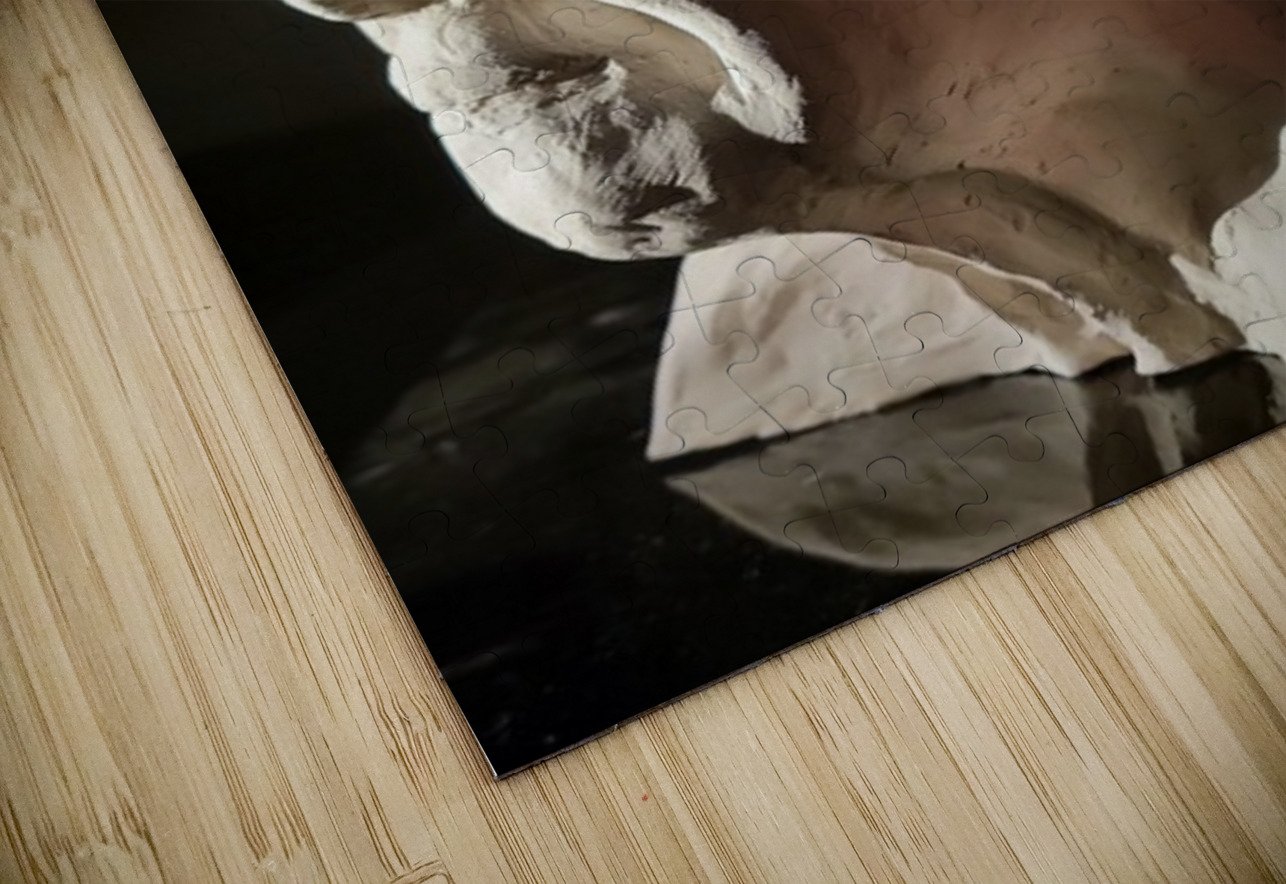 20220803 190523 Marc Melis Puzzle