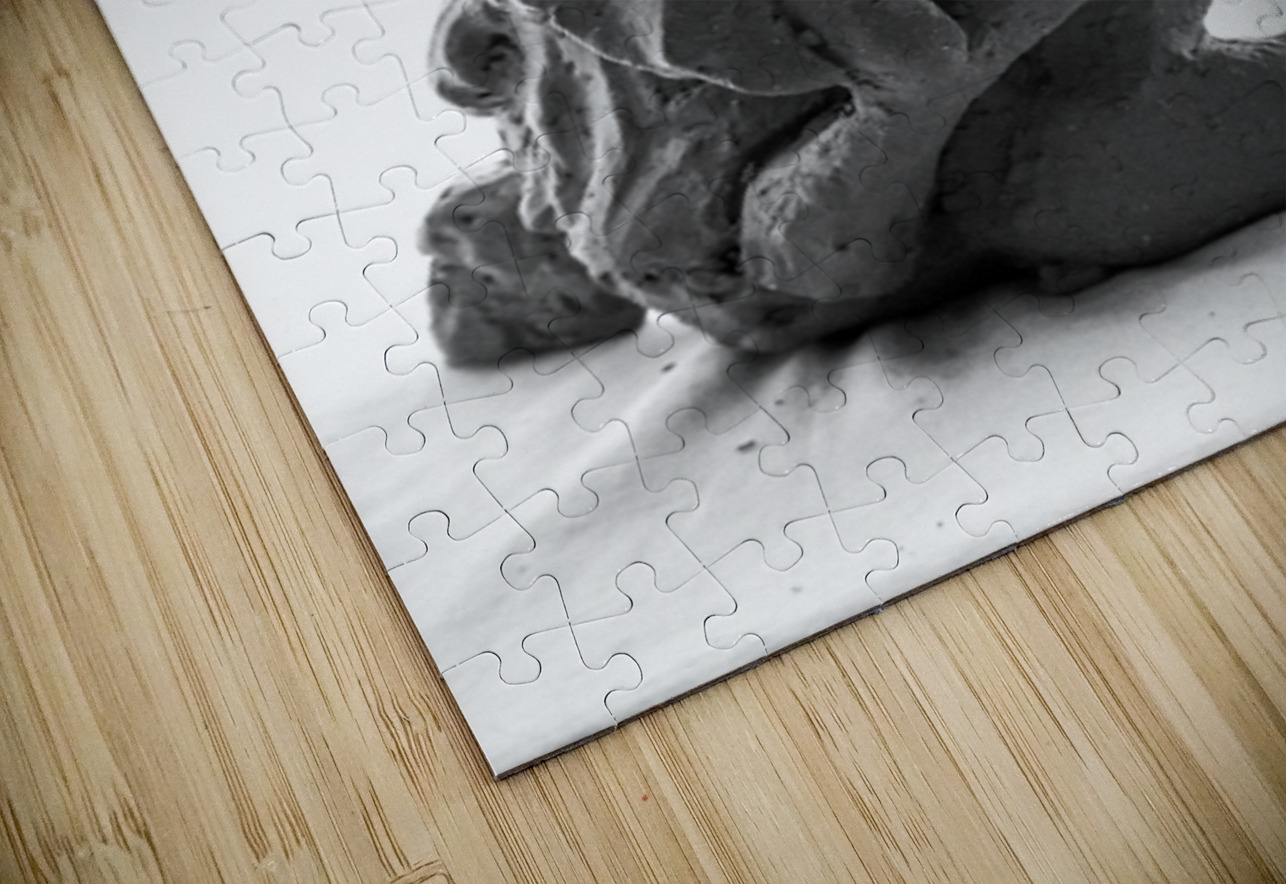 PSX 20241207 104114 Marc Melis Puzzle