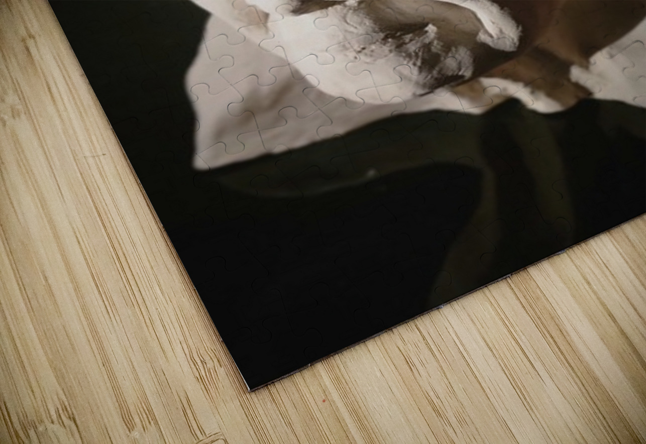 20220803 190543 Marc Melis Puzzle