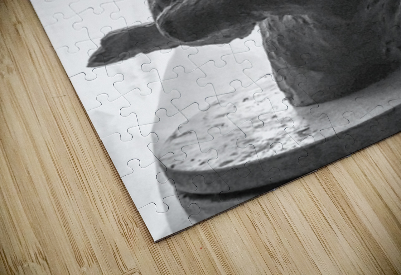 PSX 20250720 234936 Marc Melis Puzzle