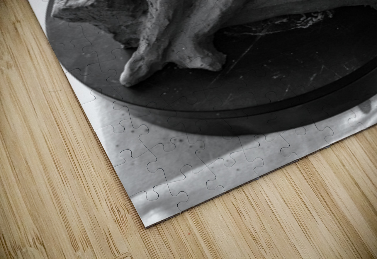 PSX 20250729 154950 Marc Melis Puzzle