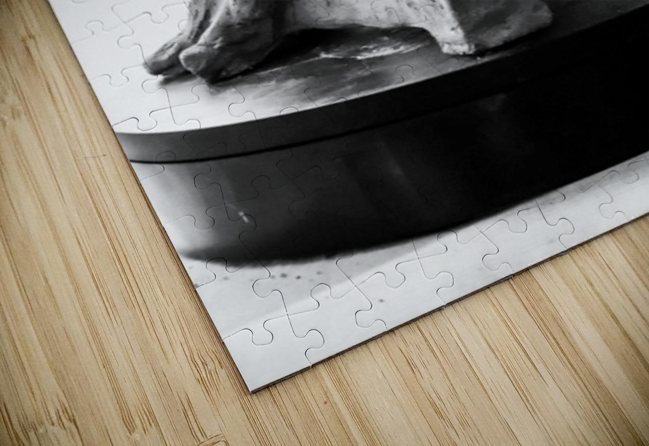 PSX 20250729 154506 Marc Melis Puzzle