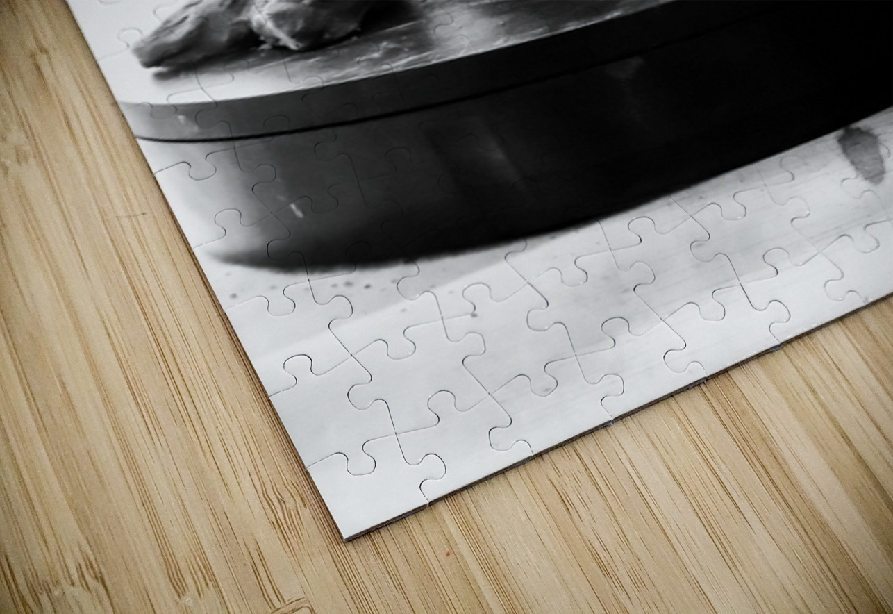 PSX 20250729 154346 Marc Melis Puzzle