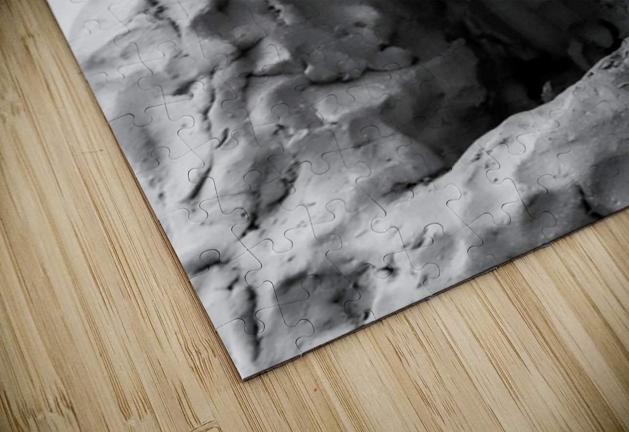 Beloved Companion 1 --- PSX 20250808 175342 Marc Melis Puzzle