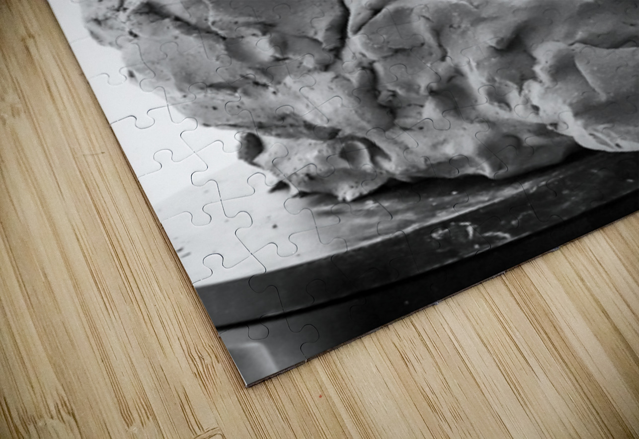 Beloved Companion 1 --- PSX 20250808 180623 Marc Melis Puzzle