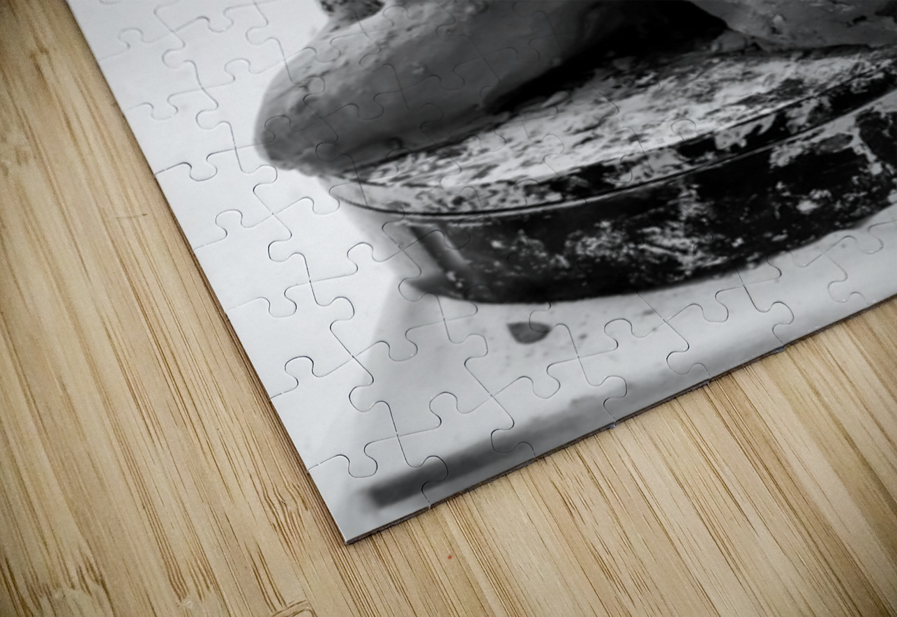 PSX 20250816 122209 Marc Melis Puzzle