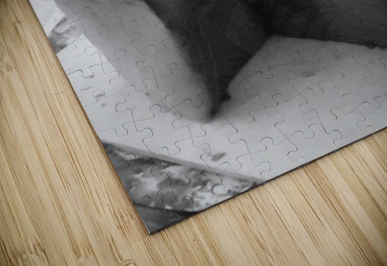 Fools Leap --- 20250915 232324 2 Marc Melis Puzzle