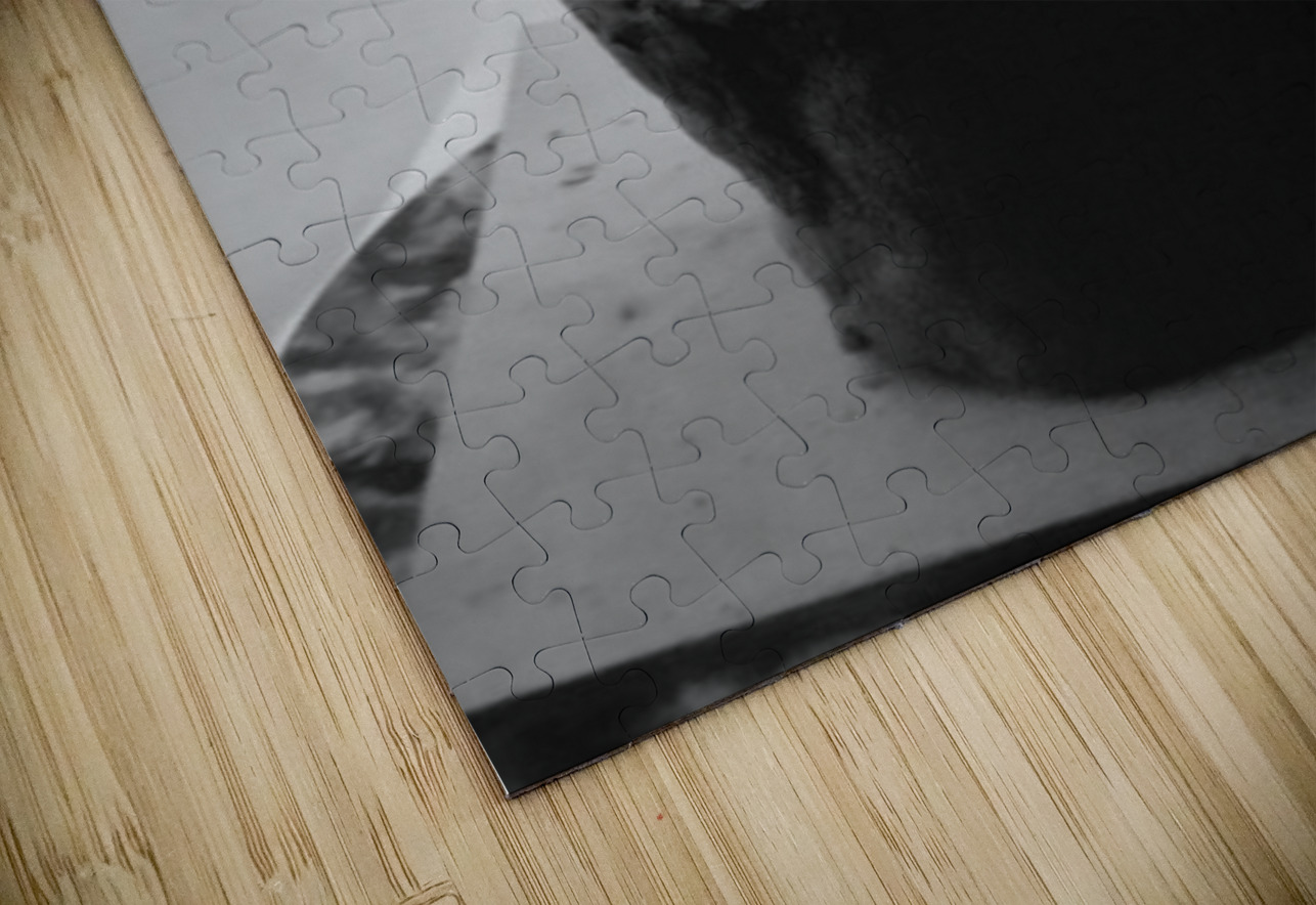 Fools Leap --- 20250915 232258 2 Marc Melis Puzzle