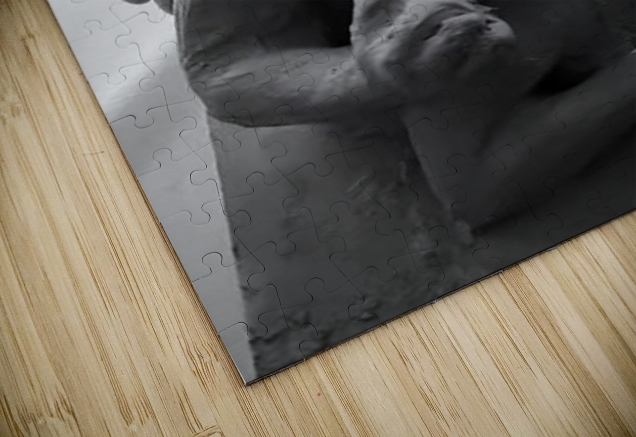 Alouette - 1 Marc Melis Puzzle