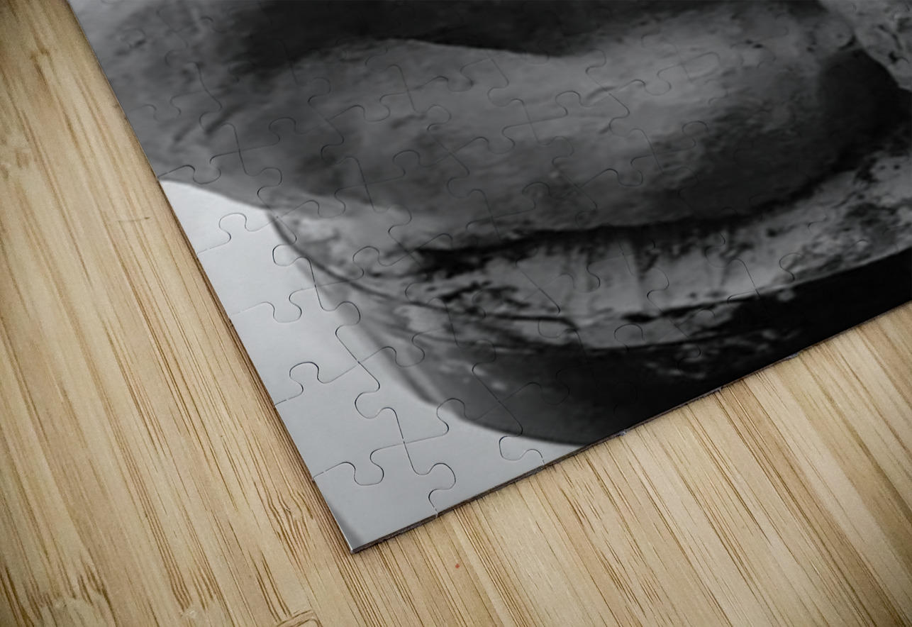 Beloved Companion 2 - 2 Marc Melis Puzzle