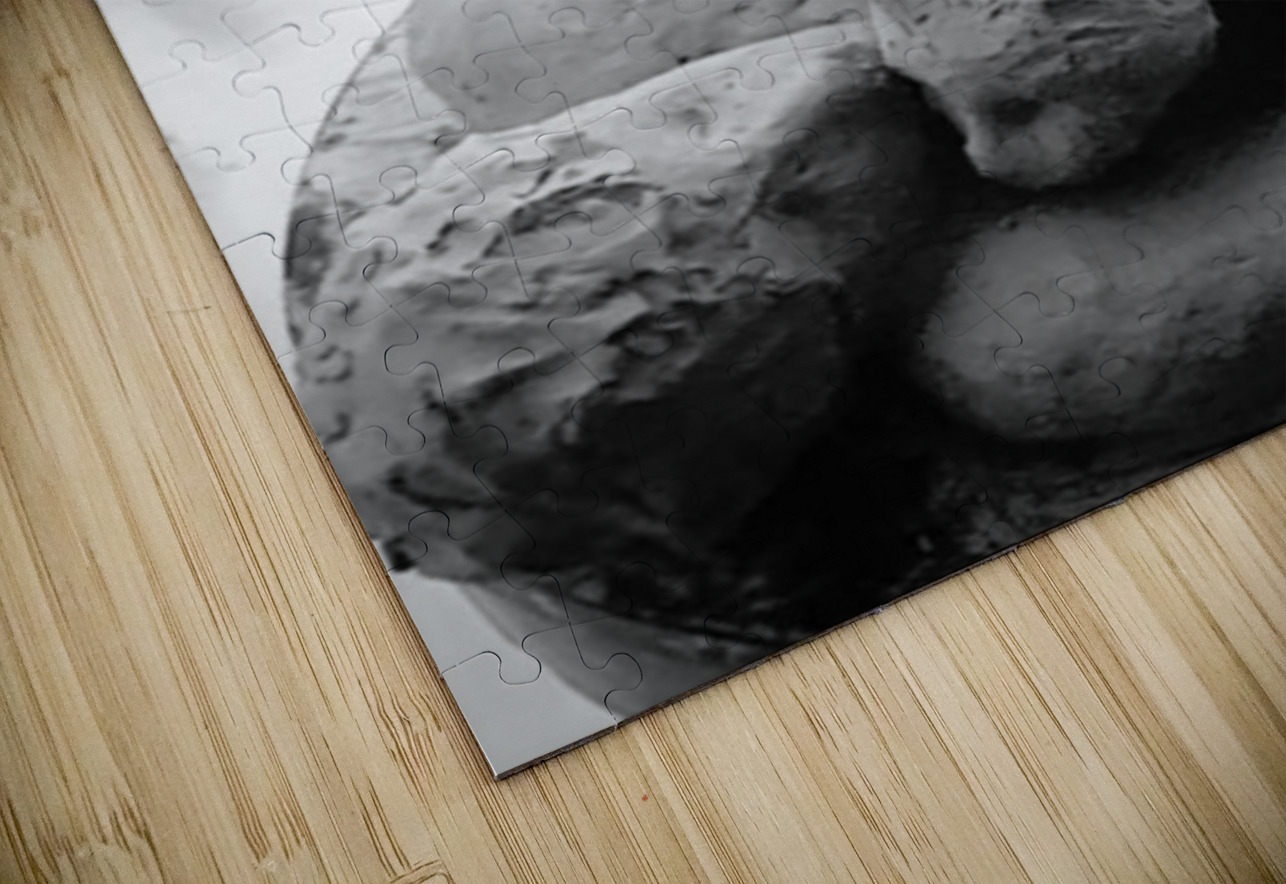 Beloved Companion 2 - 4 Marc Melis Puzzle