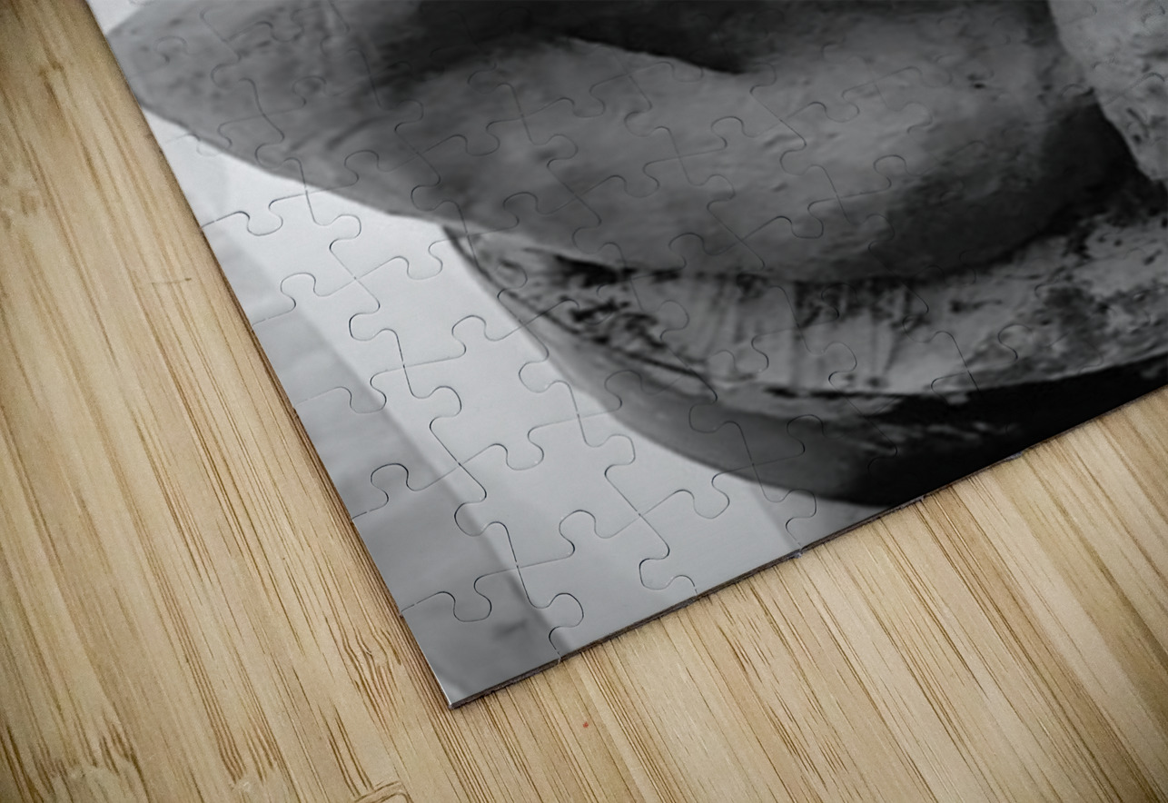 Beloved Companion 2 - 1 Marc Melis Puzzle