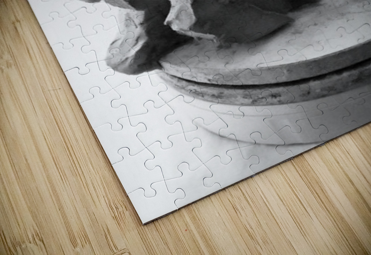 Selva Oscura --- 20251101 225029 2 Marc Melis Puzzle