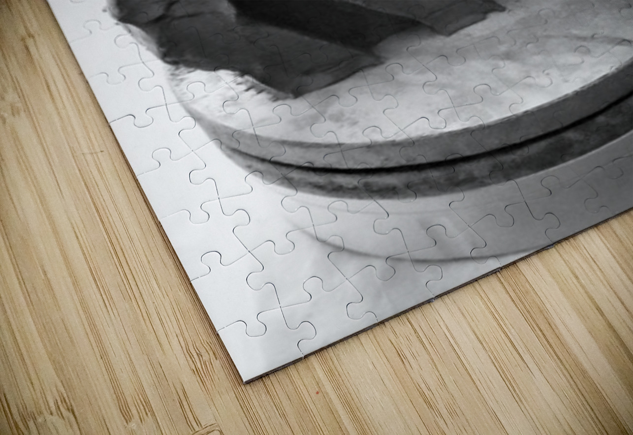 Selva Oscura --- 20251101 225118 2 Marc Melis Puzzle