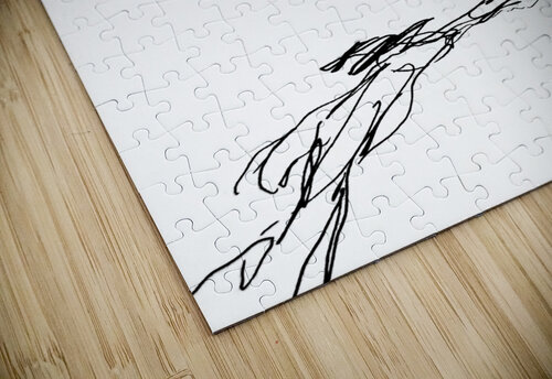 PSX 20241220 032723 Marc Melis puzzle