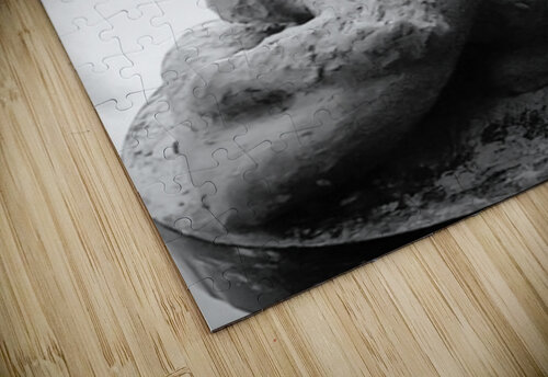 Beloved Companion 2 - 3 Marc Melis puzzle