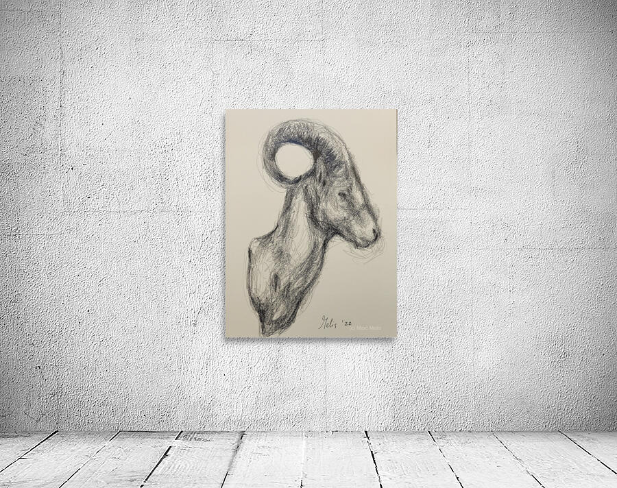 20220707 112037 Wall Preview