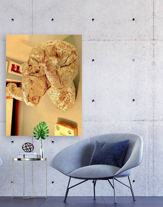 20220225 090824 by Marc Melis