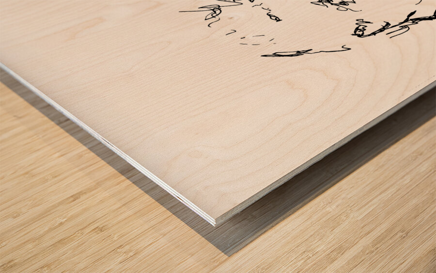 PSX 20250123 231330 Wood print