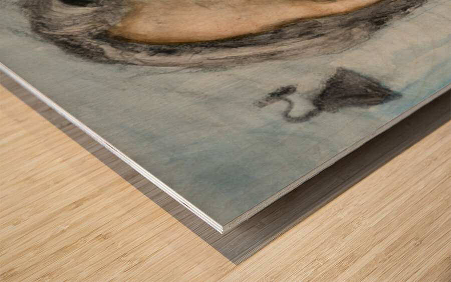 PSX 20250716 123057 Wood print