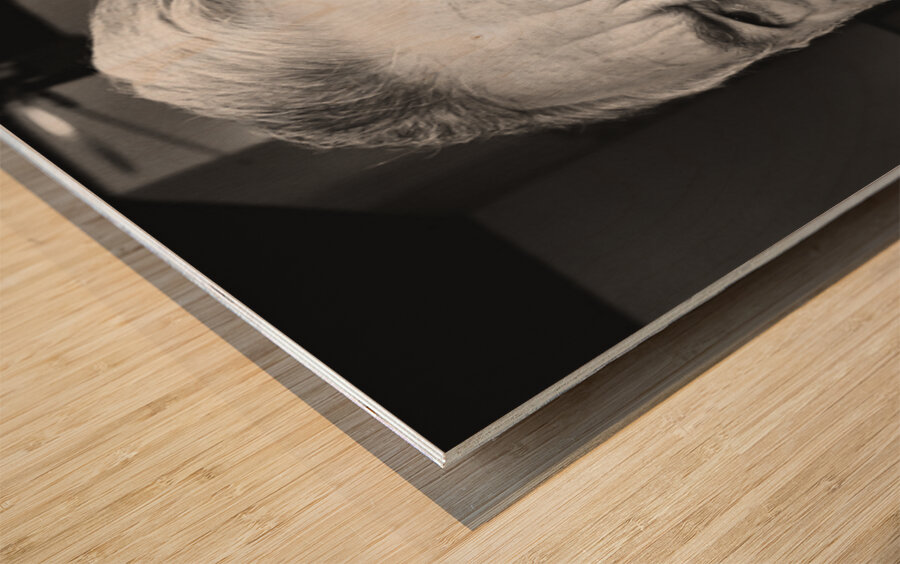 20221124 125204 Wood print