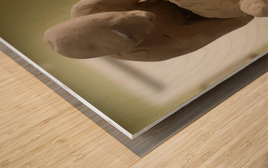 20231015 053026 Wood print