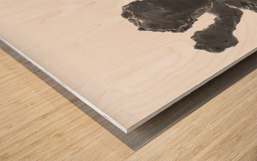 PSX 20250720 231557 Wood print