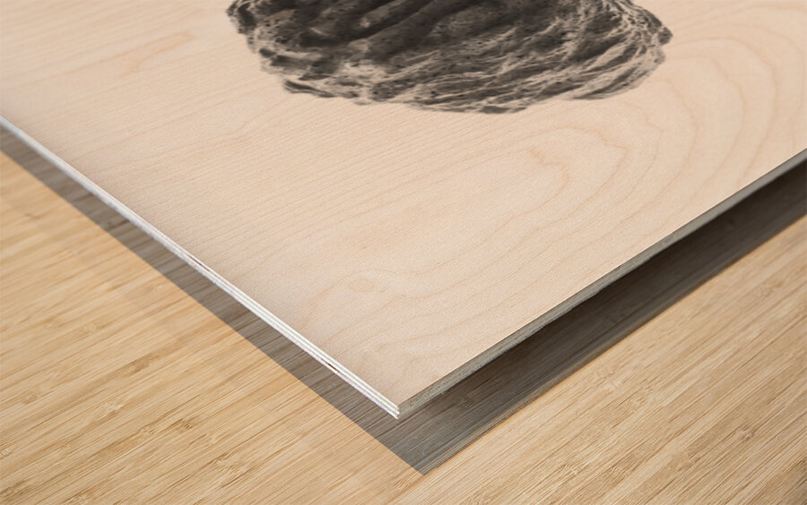 PSX 20250821 144939 Wood print