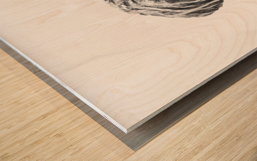 PSX 20250821 151057 Wood print